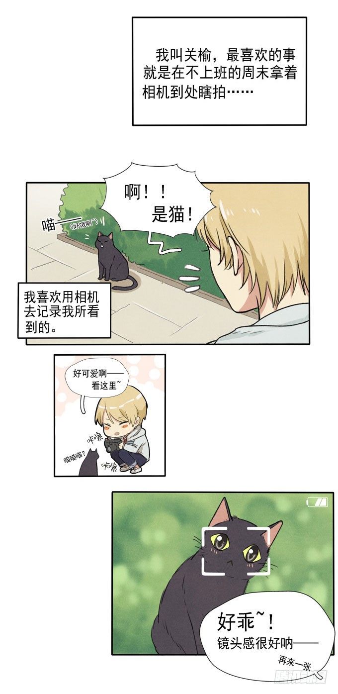 猫的报恩？-第2话