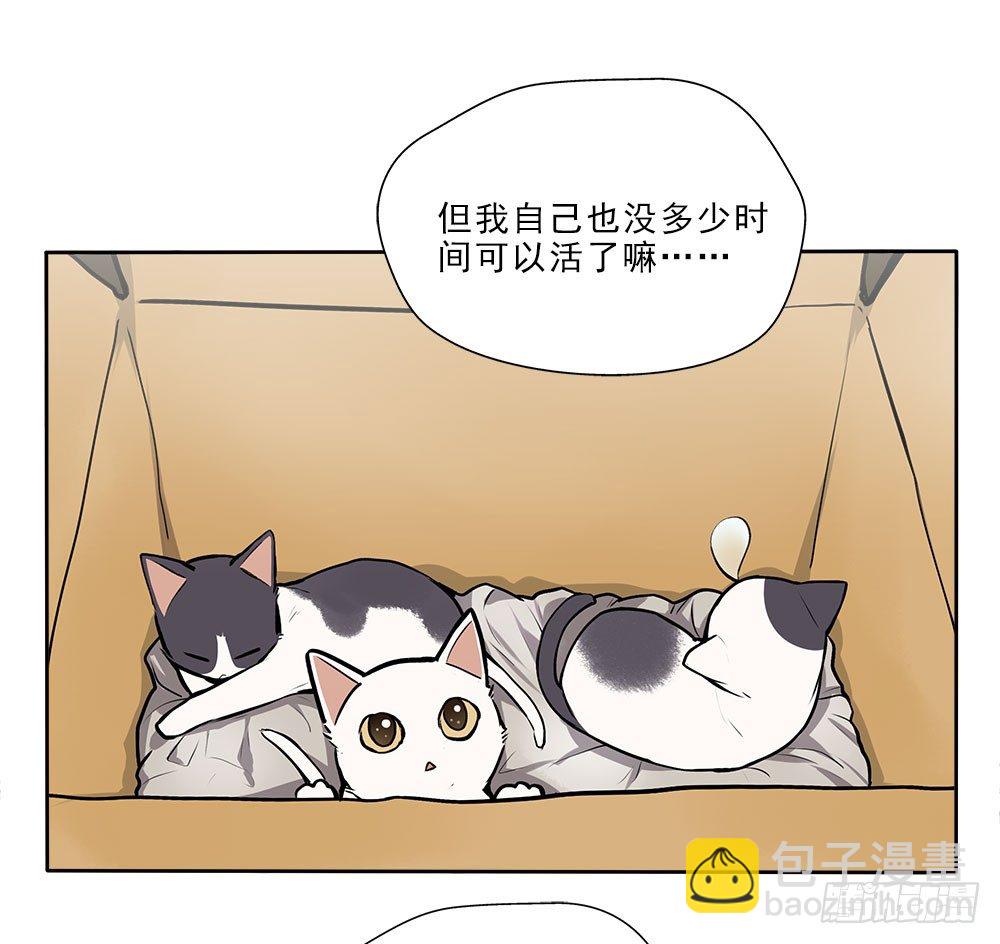 阳寿三个月 - 不定期番外篇3.0 - 5