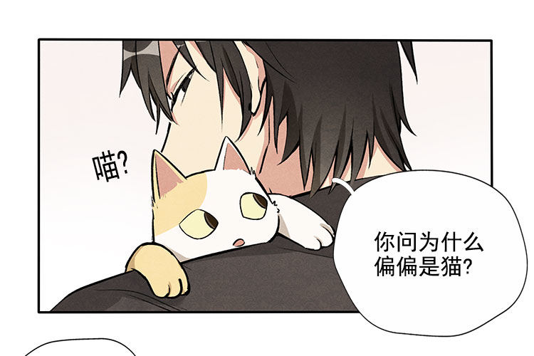 意想不到-第8话