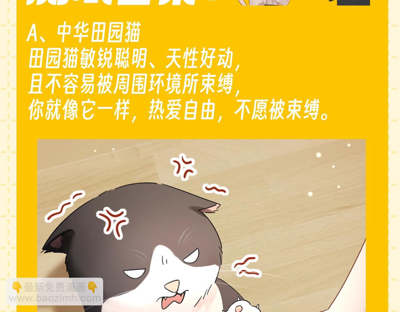 第6期 整活企划：测测你是哪种猫猫？-第26话