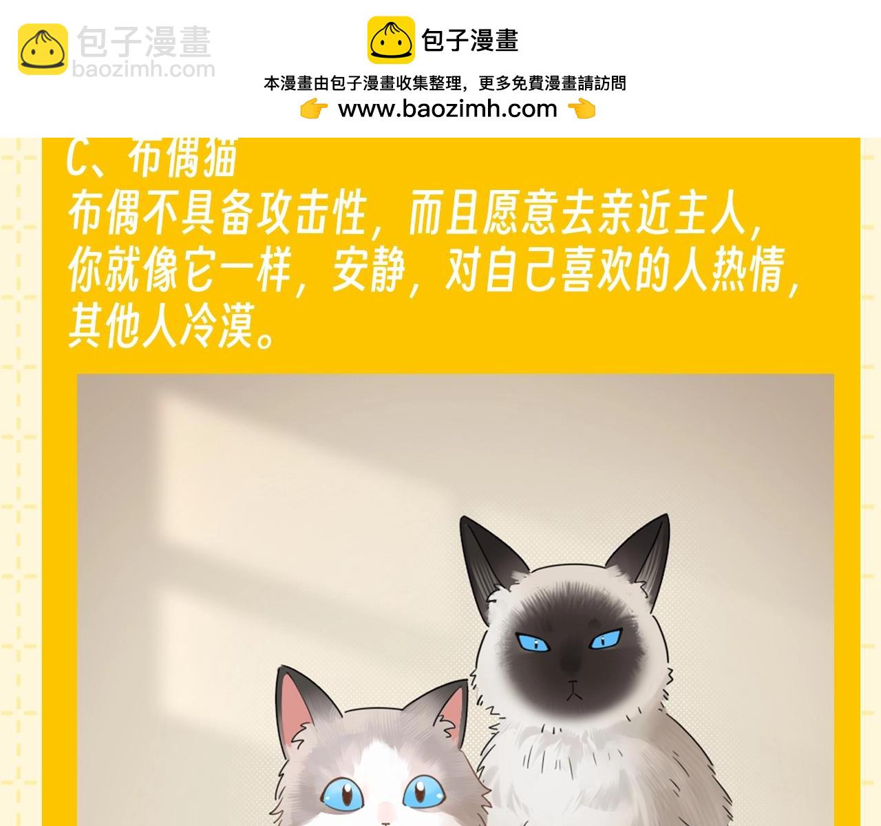 第6期 整活企划：测测你是哪种猫猫？-第26话