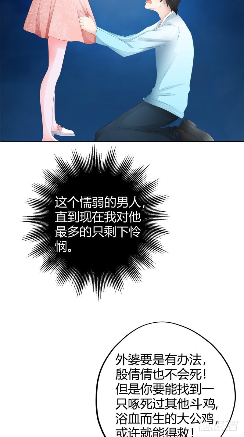 第9话 斗鸡-第10话