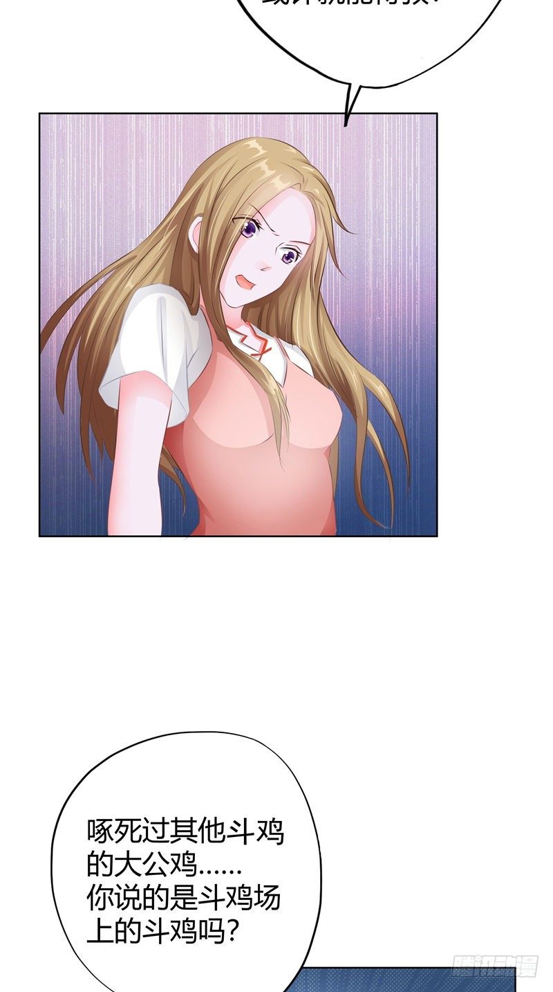第9话 斗鸡-第10话