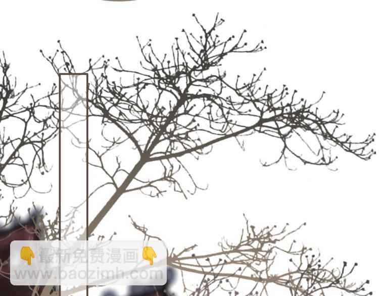 第12话 想送你礼物(1/3)-第14话