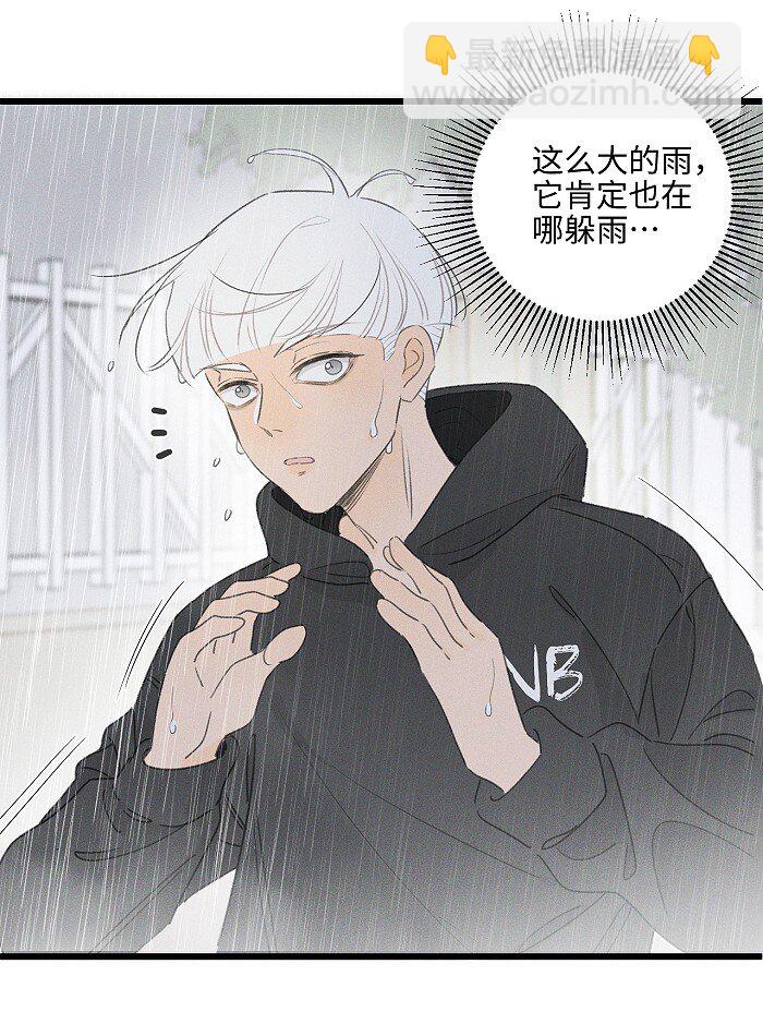 40 暴雨中的生日会-第42话