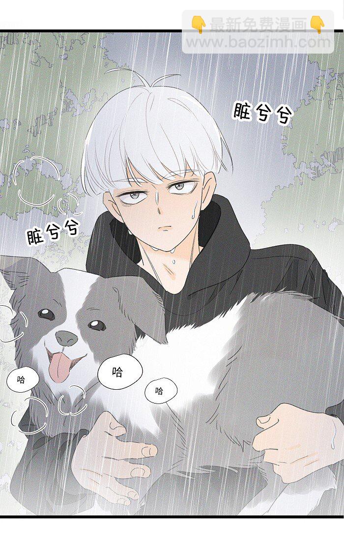 40 暴雨中的生日会-第42话