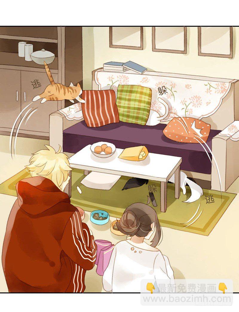 哪里来的猫（中）-第12话