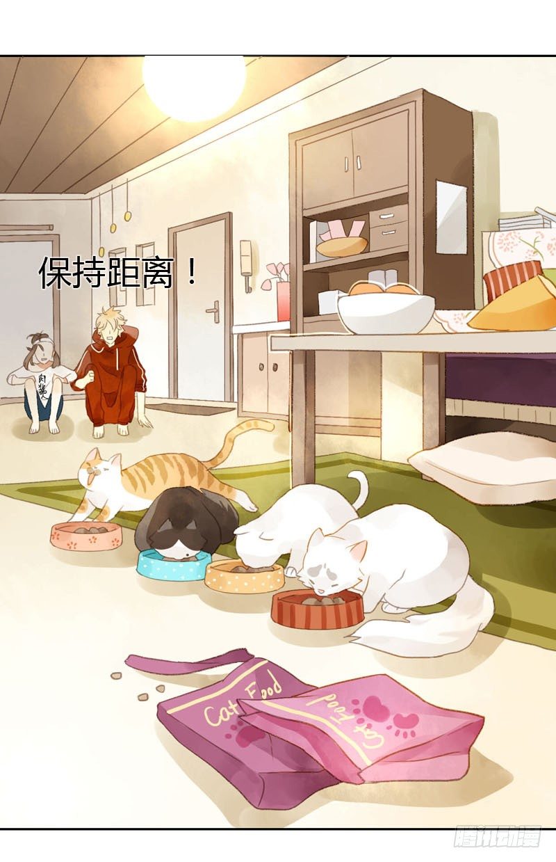 哪里来的猫（中）-第12话