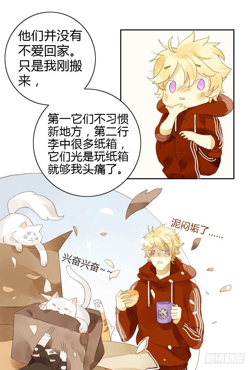 哪里来的猫（中）-第12话