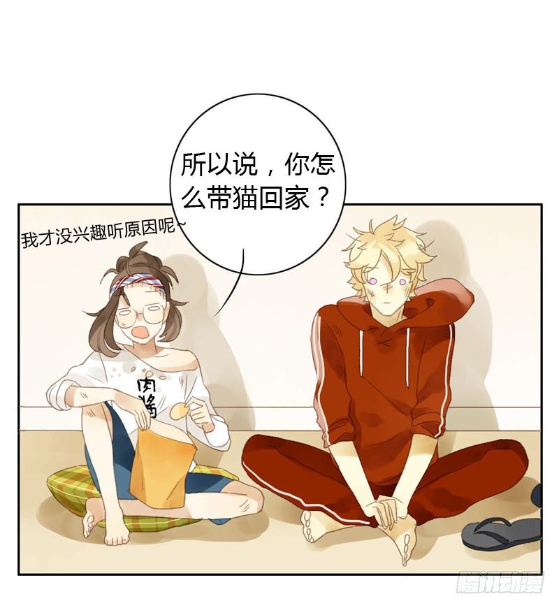 哪里来的猫（中）-第12话
