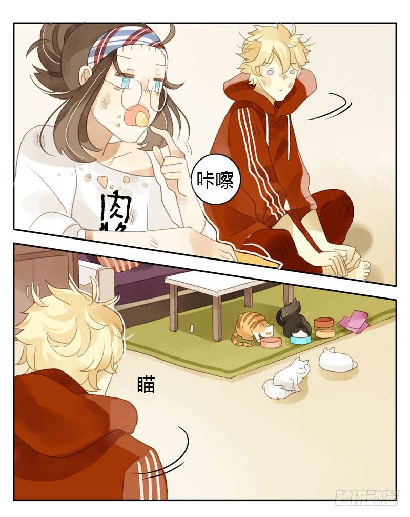 哪里来的猫（中）-第12话