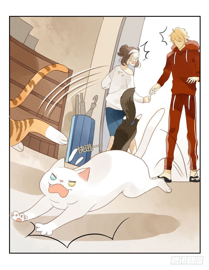 哪里来的猫（中）-第12话