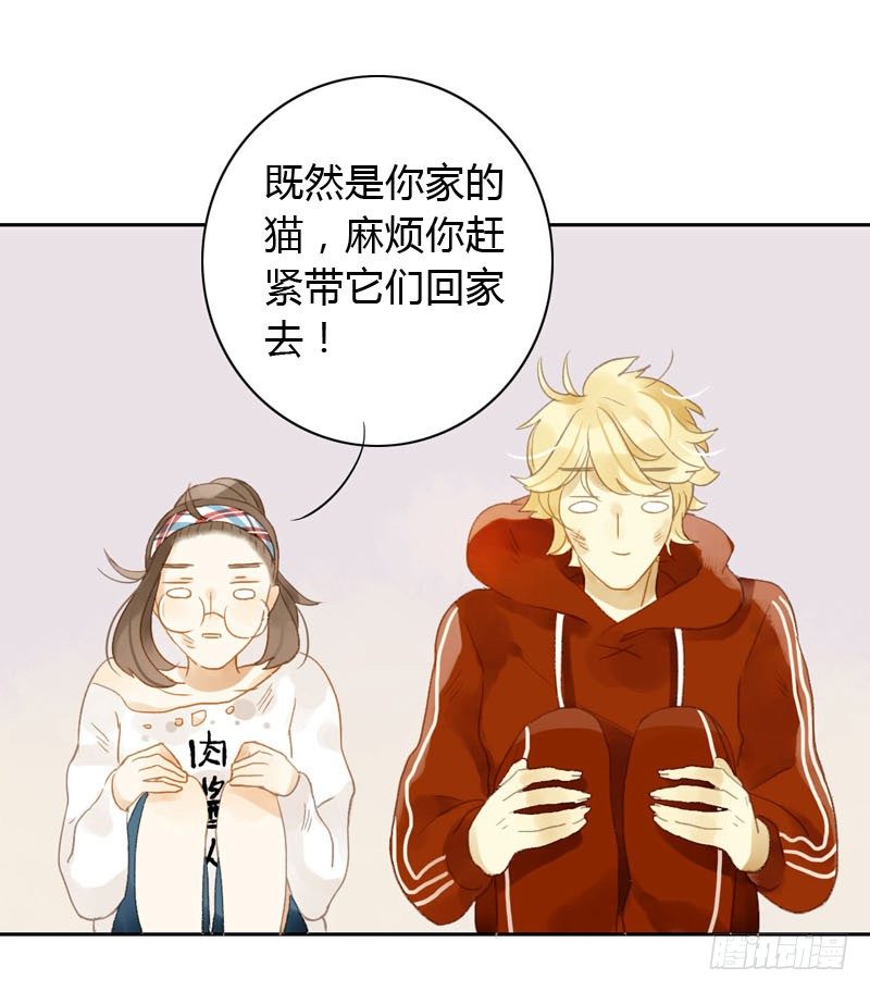 哪里来的猫（中）-第12话