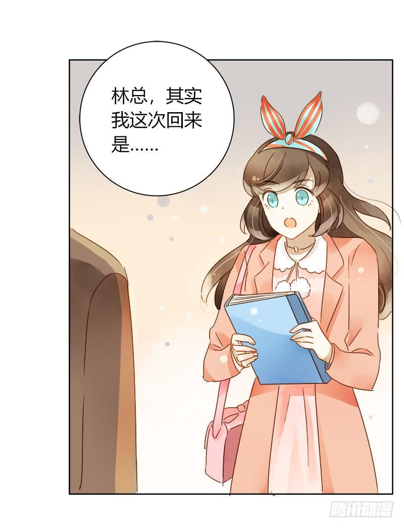 疯狂粉丝（上）-第230话