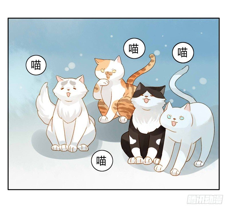 婚礼之后（下）-第66话