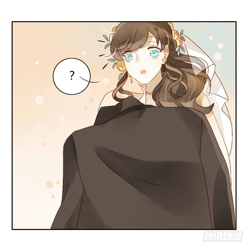 婚礼之后（下）-第66话