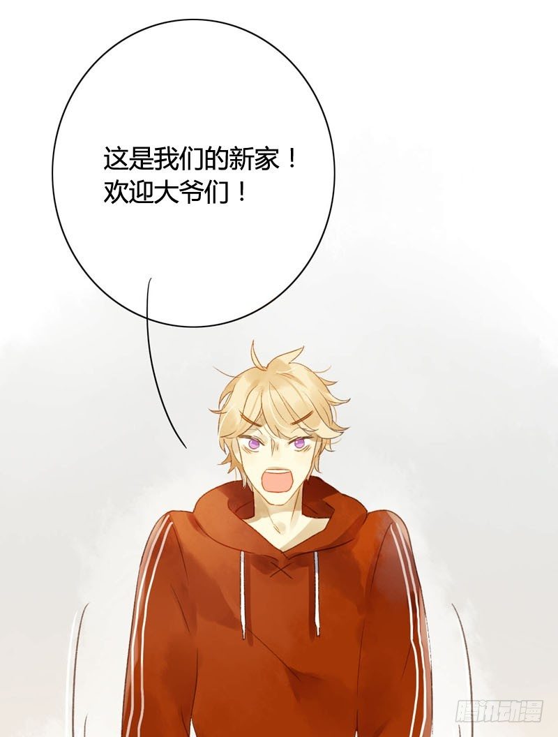 四只猫的真相（下）-第8话