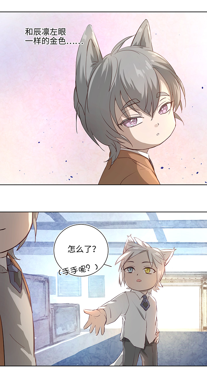番外③ 泠珝与异色瞳狮子猫（下）-第110话