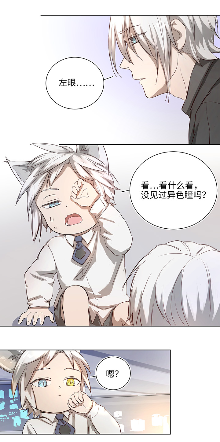番外③ 泠珝与异色瞳狮子猫（下）-第110话
