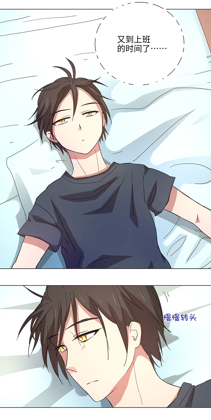 46 小菊花-第46话