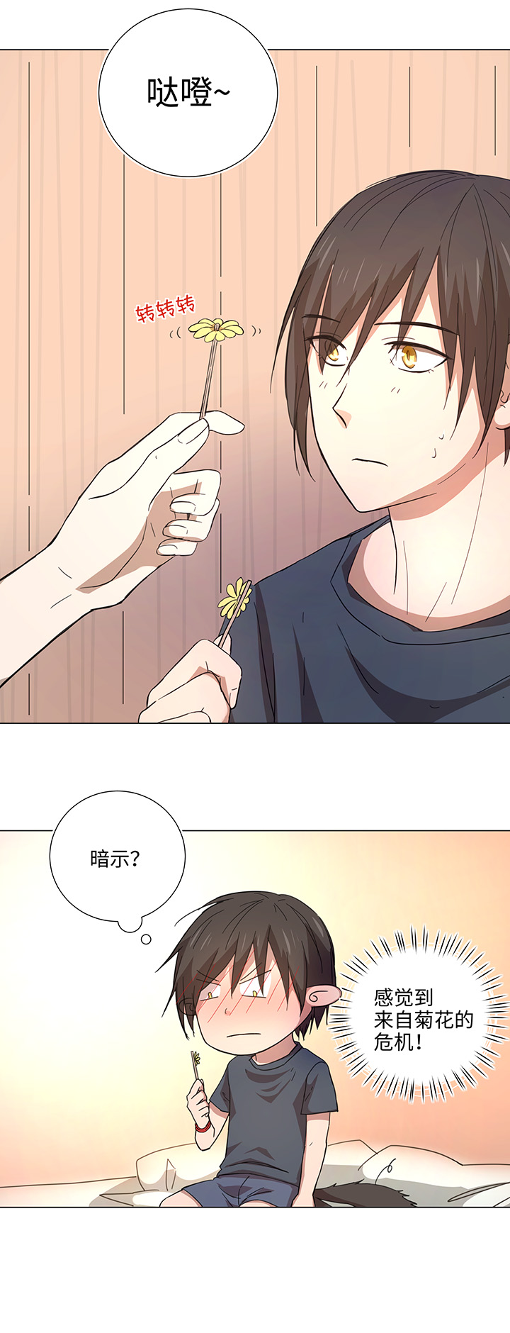 46 小菊花-第46话