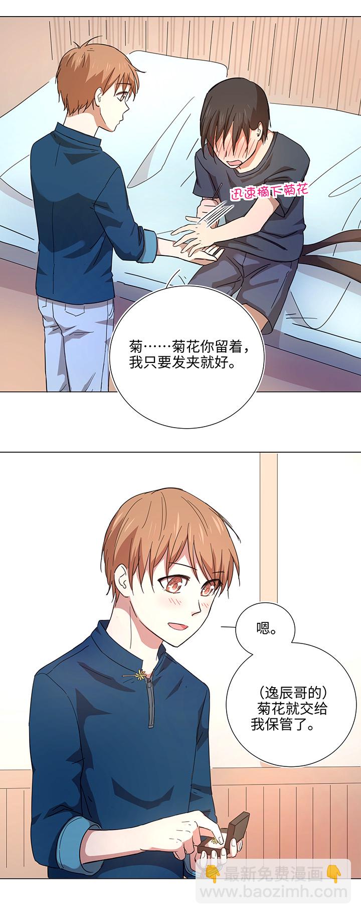 46 小菊花-第46话