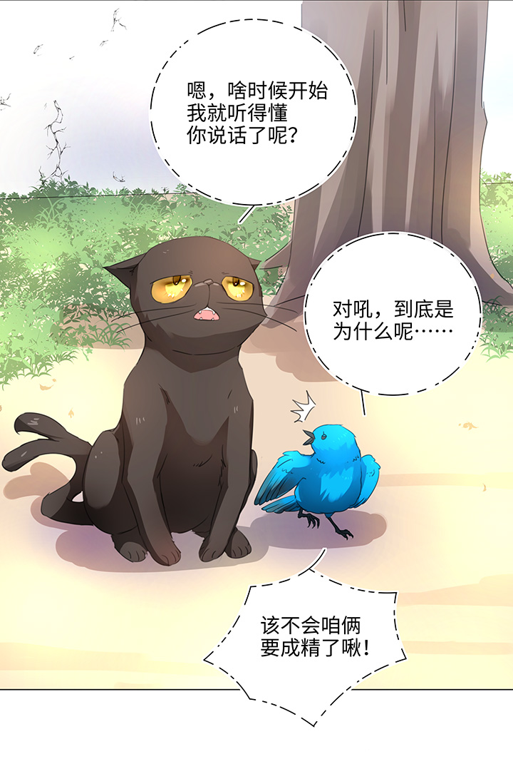 56 黑猫传说.一-第56话