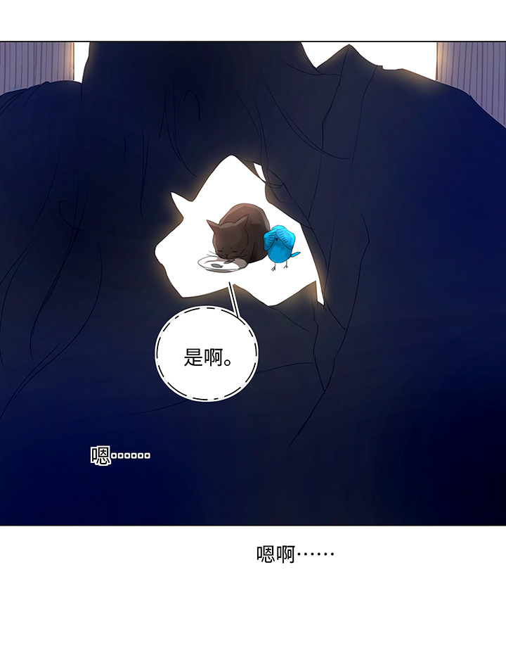 56 黑猫传说.一-第56话