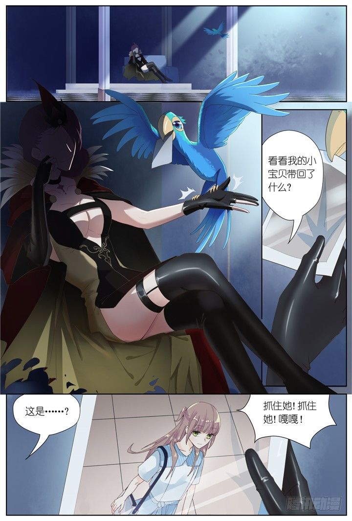 64.万羽之城5-第64话