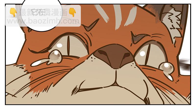 第1话 报恩之狐（一）-第2话