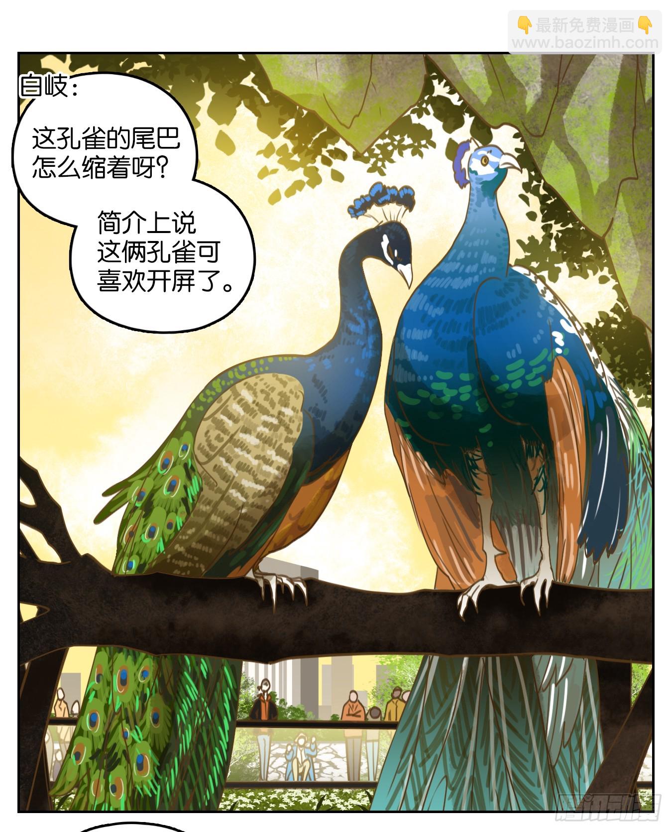 第262话 围城之青（二）(1/2)-第274话