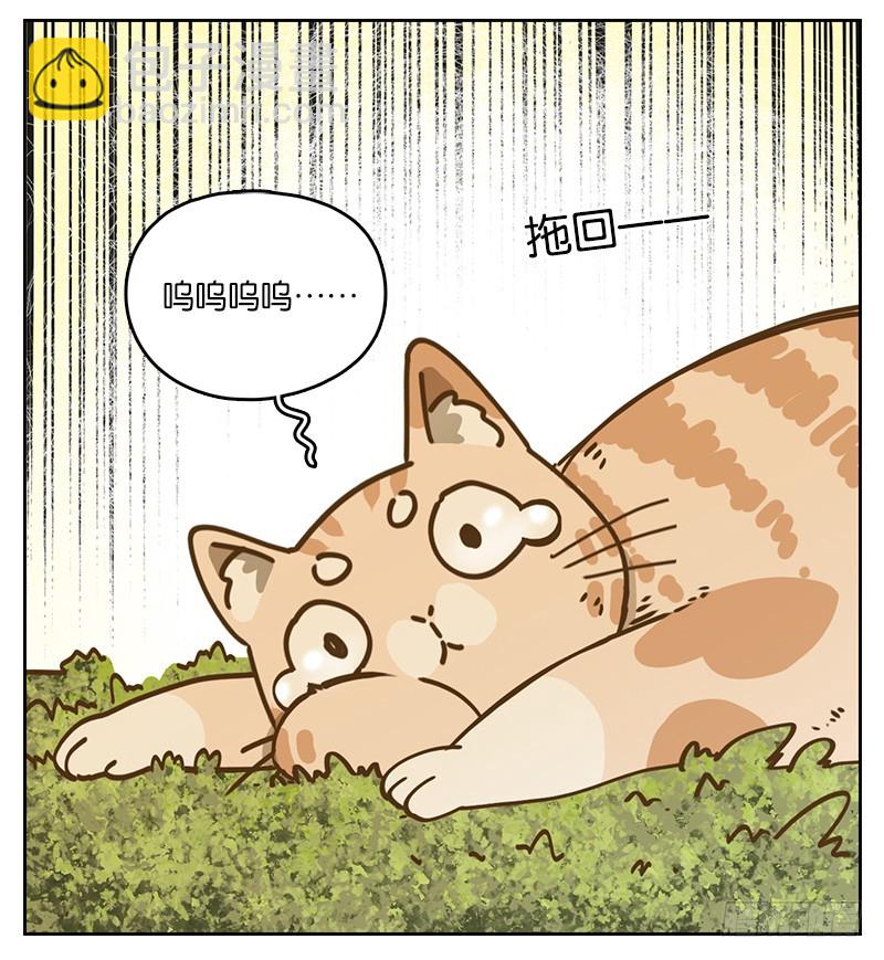 第39话 舐犊之情（三）(1/2)-第40话