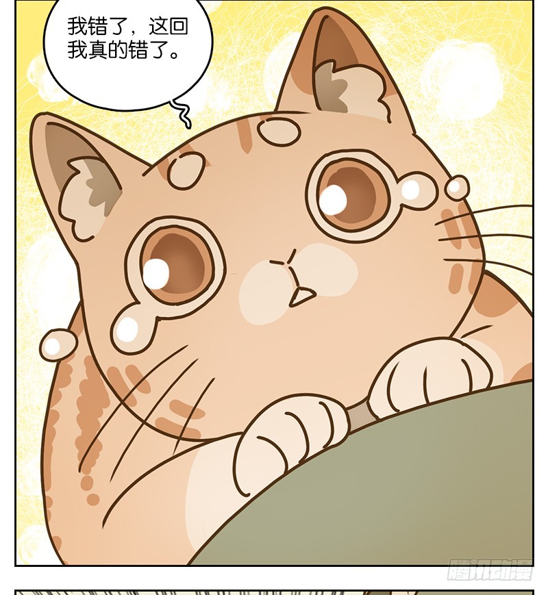 第39话 舐犊之情（三）(1/2)-第40话