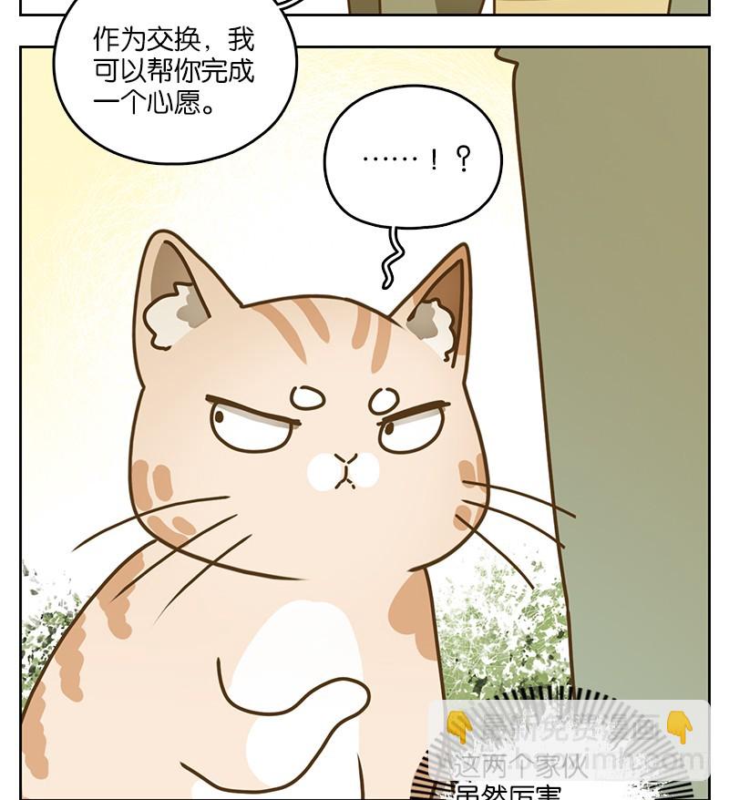 第39话 舐犊之情（三）(1/2)-第40话