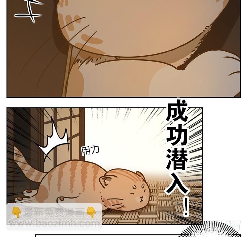 第41话 舐犊之情（五）-第42话