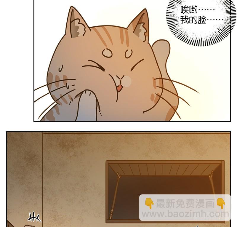 第41话 舐犊之情（五）-第42话