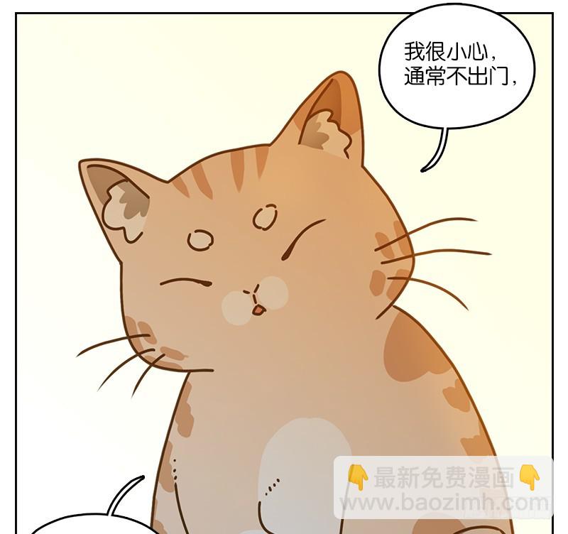 第41话 舐犊之情（五）-第42话