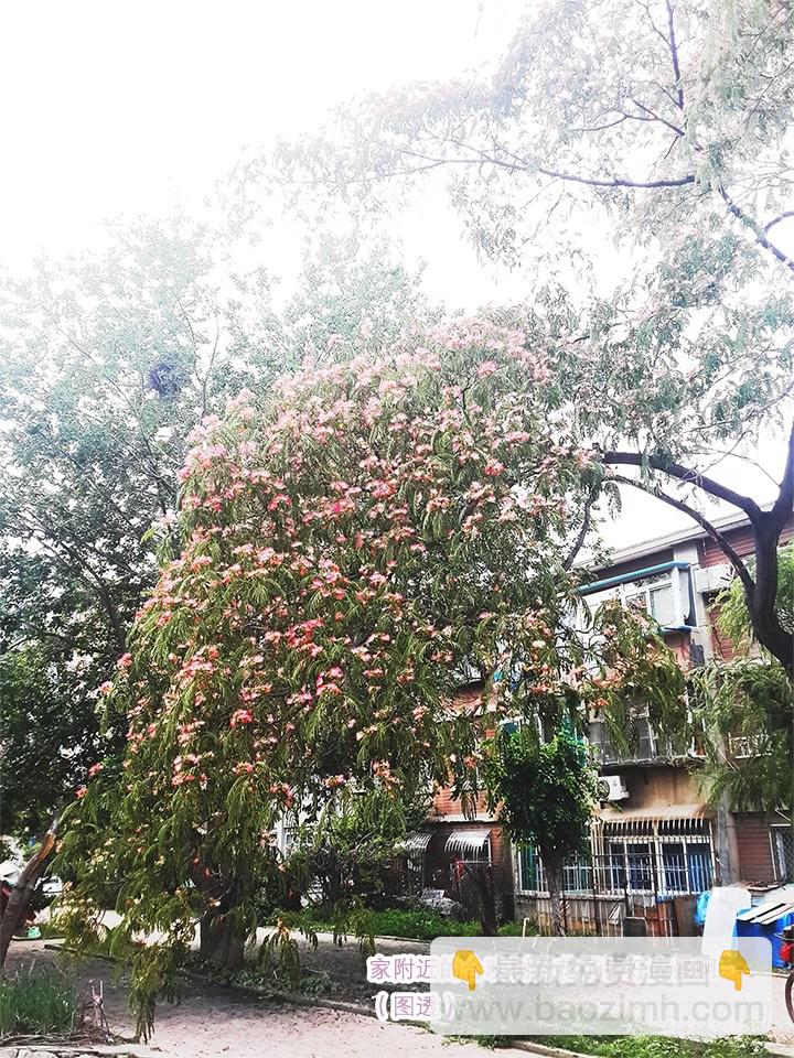 18.事件升级-第18话