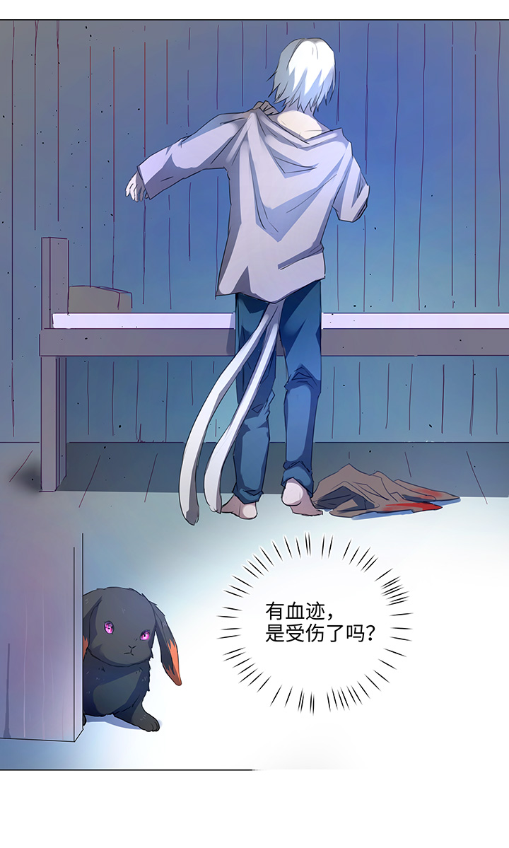 57 黑猫传说.二-第58话