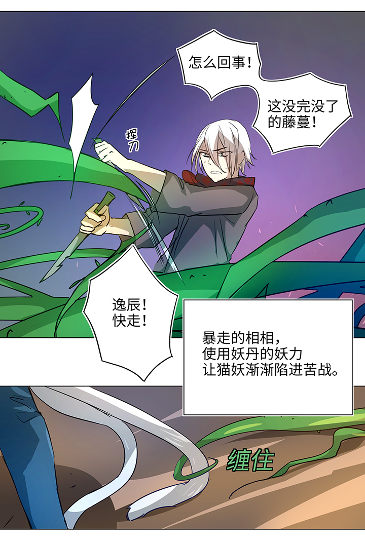 41 六十年前-第42话