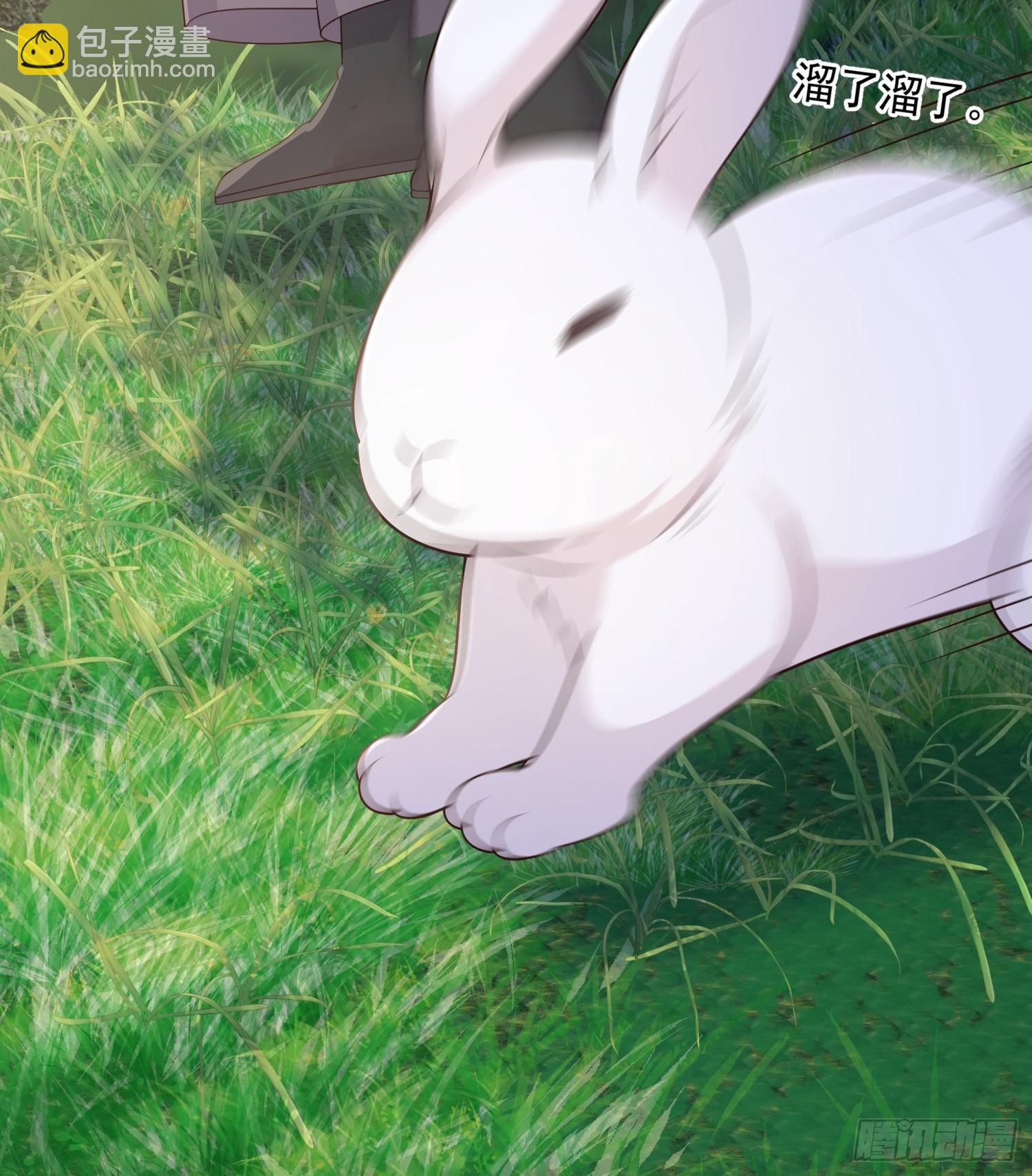 71是可爱小兔子哟-第76话