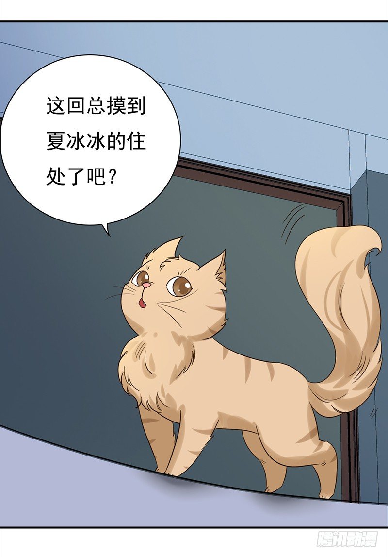 三十七话：夏冰冰(1/2)-第38话