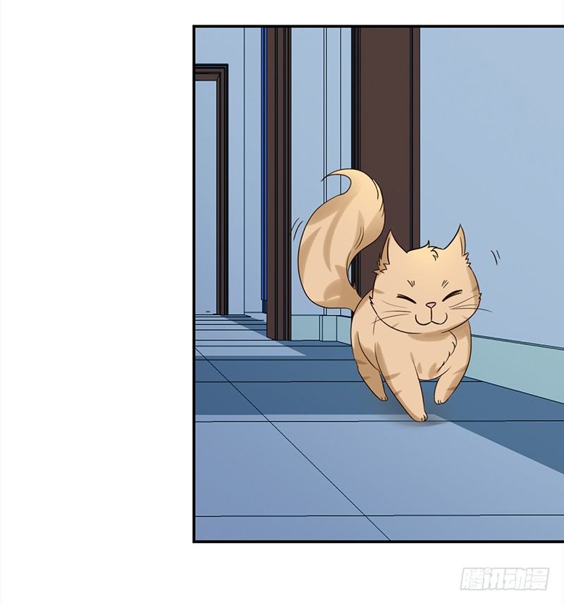 三十七话：夏冰冰(1/2)-第38话