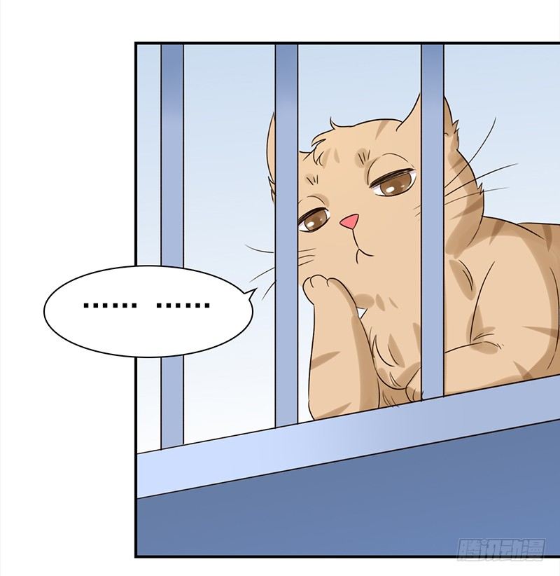 三十七话：夏冰冰(1/2)-第38话