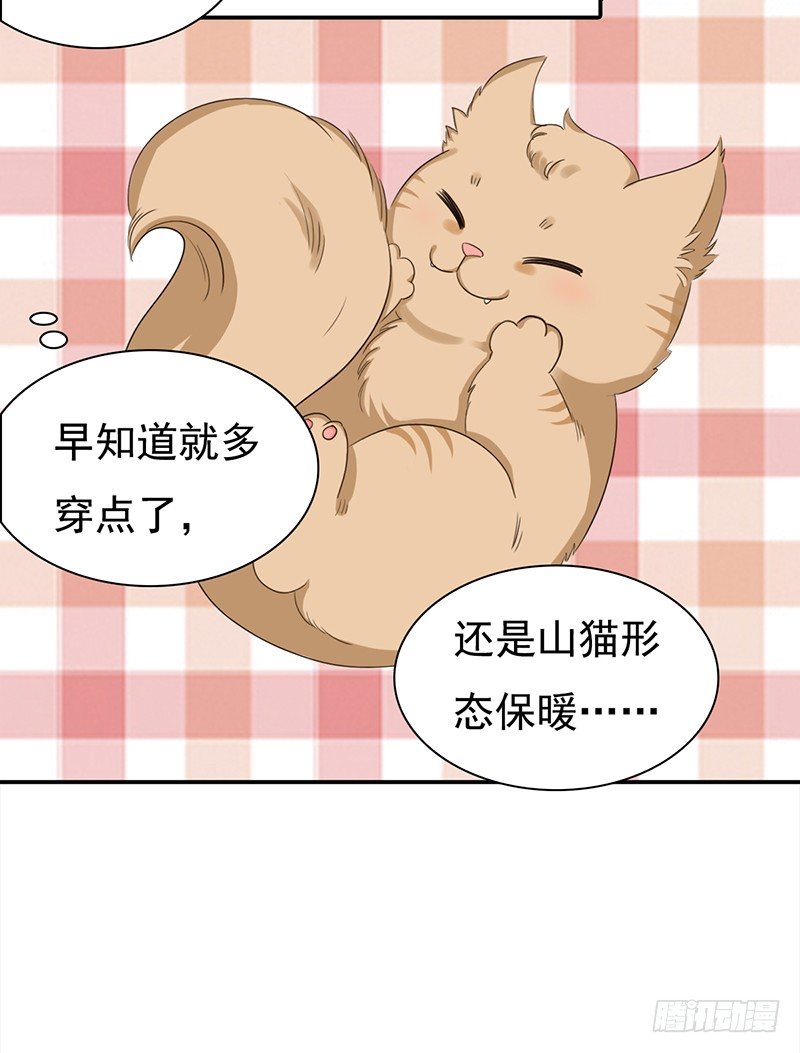 四十一话：深夜的的对话(1/2)-第42话