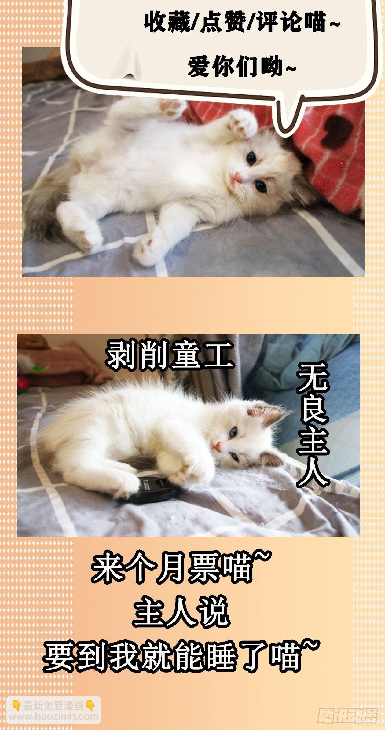 妖开饭啦！（烹饪美味怪物吧） - 9.广志酒家 - 8