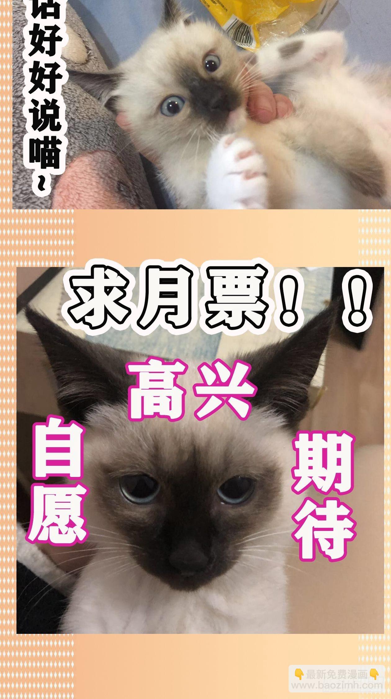 妖开饭啦！（烹饪美味怪物吧） - 11.我才是祖国的花朵 - 3