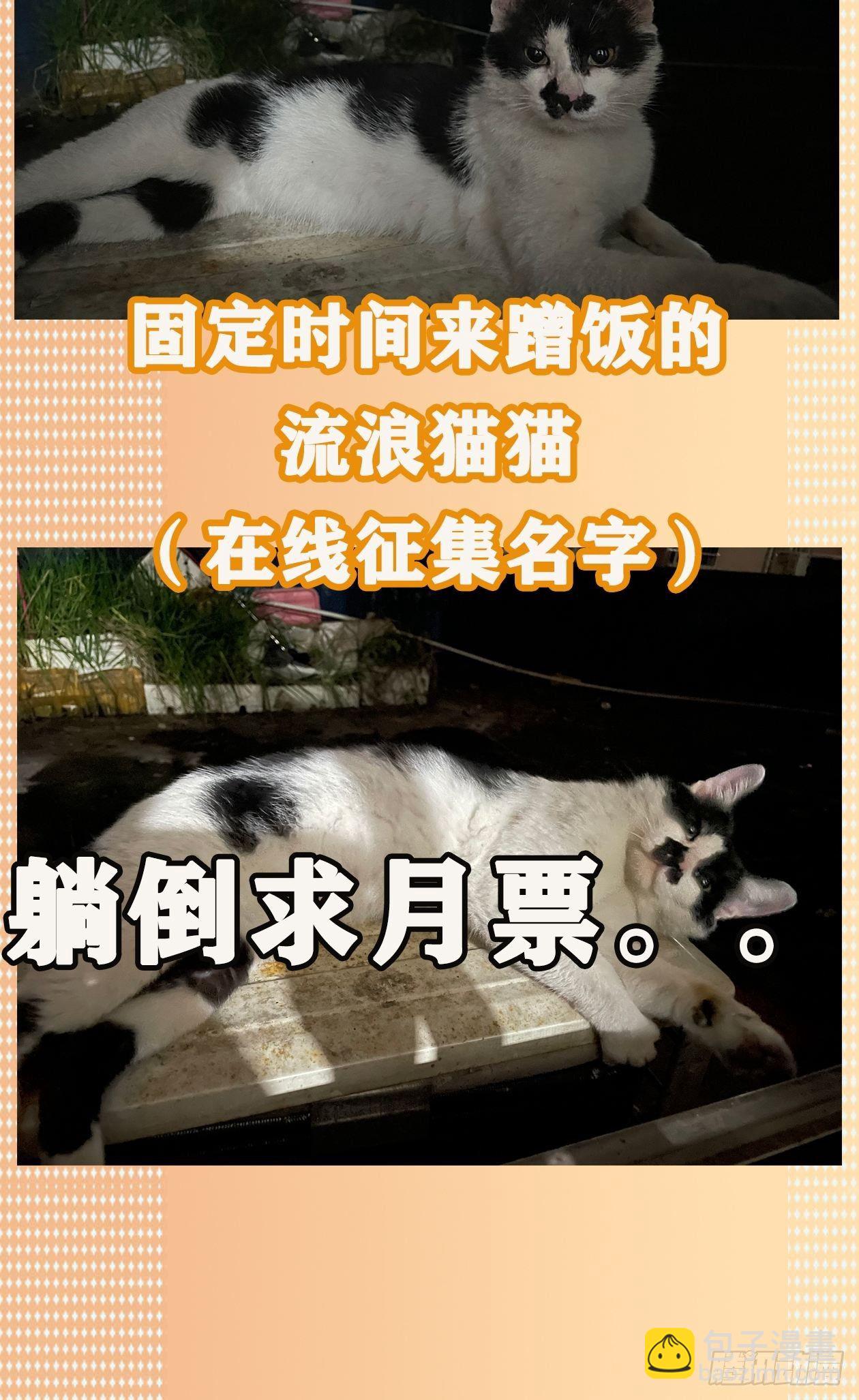 妖开饭啦！（烹饪美味怪物吧） - 15.杀鸡焉用魔刀 - 4