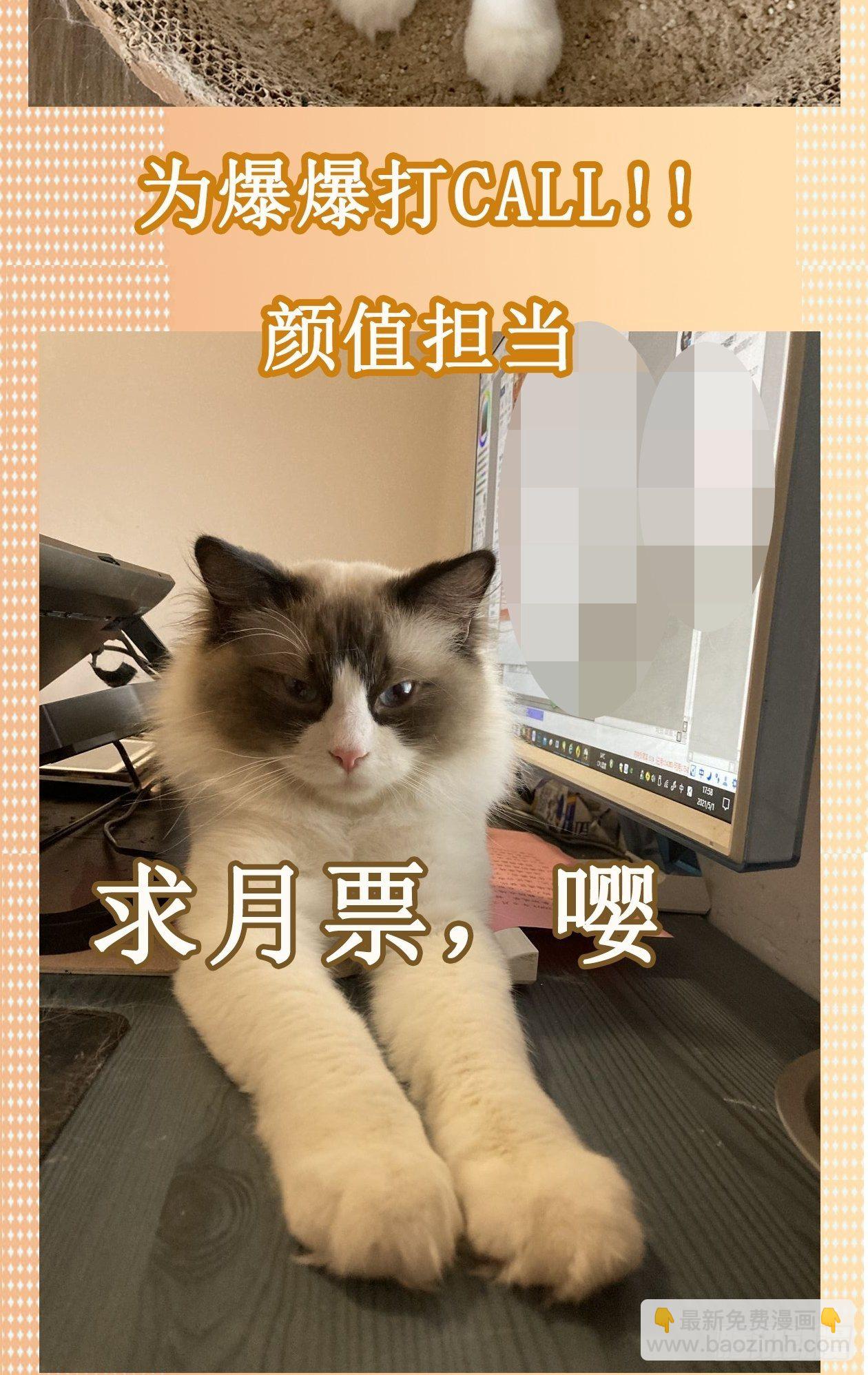 妖开饭啦！（烹饪美味怪物吧） - 喂，接个电话 - 4