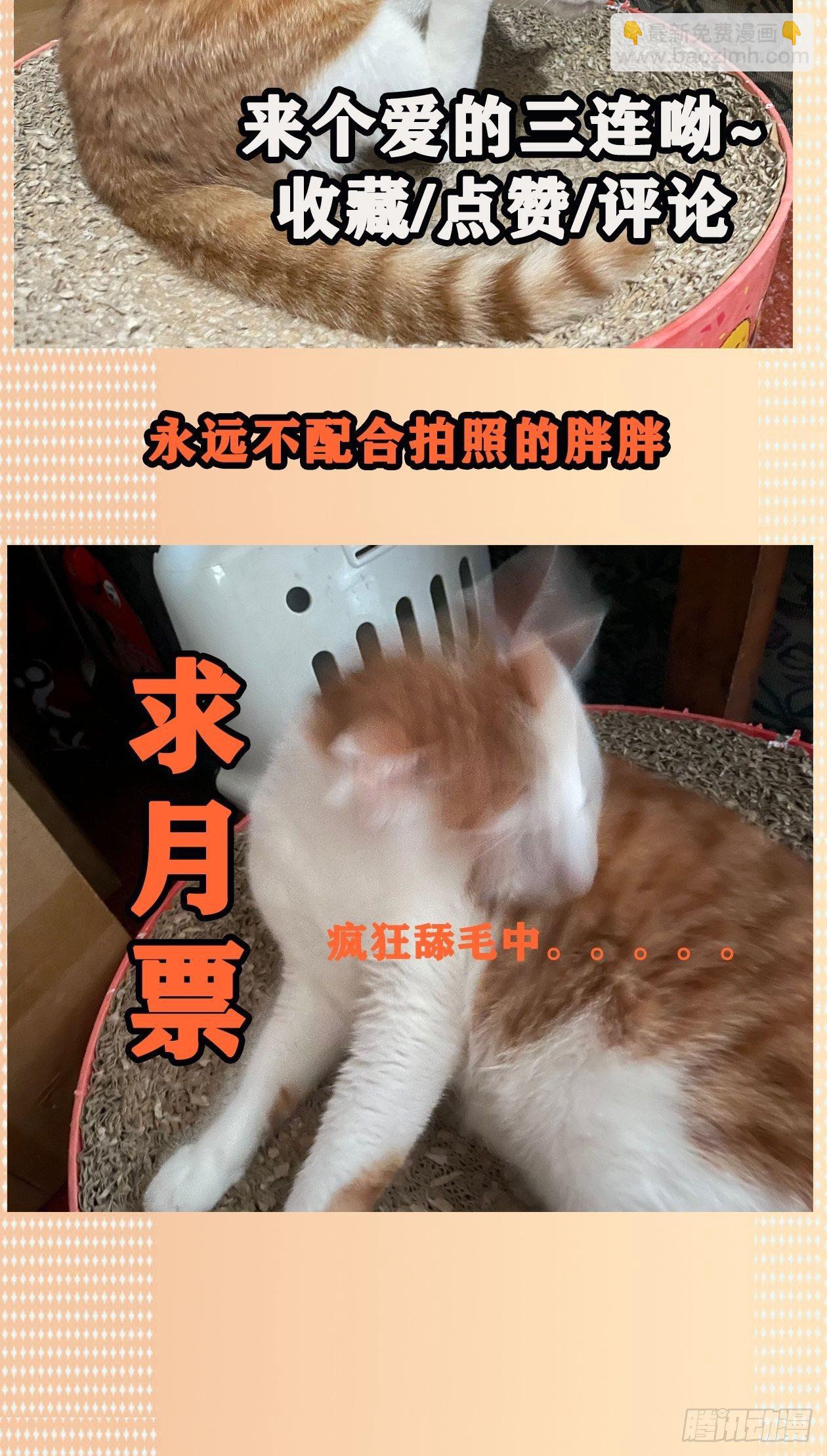 31.狐狸的报恩-第36话